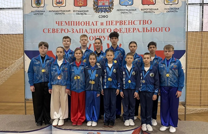 Успешное выступление ушуистов Дворца в Ленинградской области