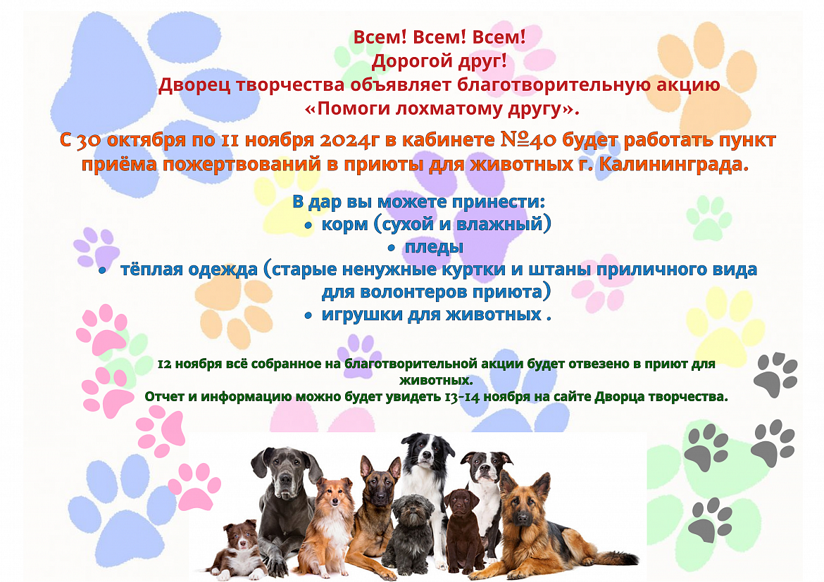 «Помоги лохматому другу». 