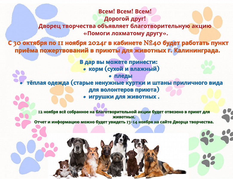 «Помоги лохматому другу». 